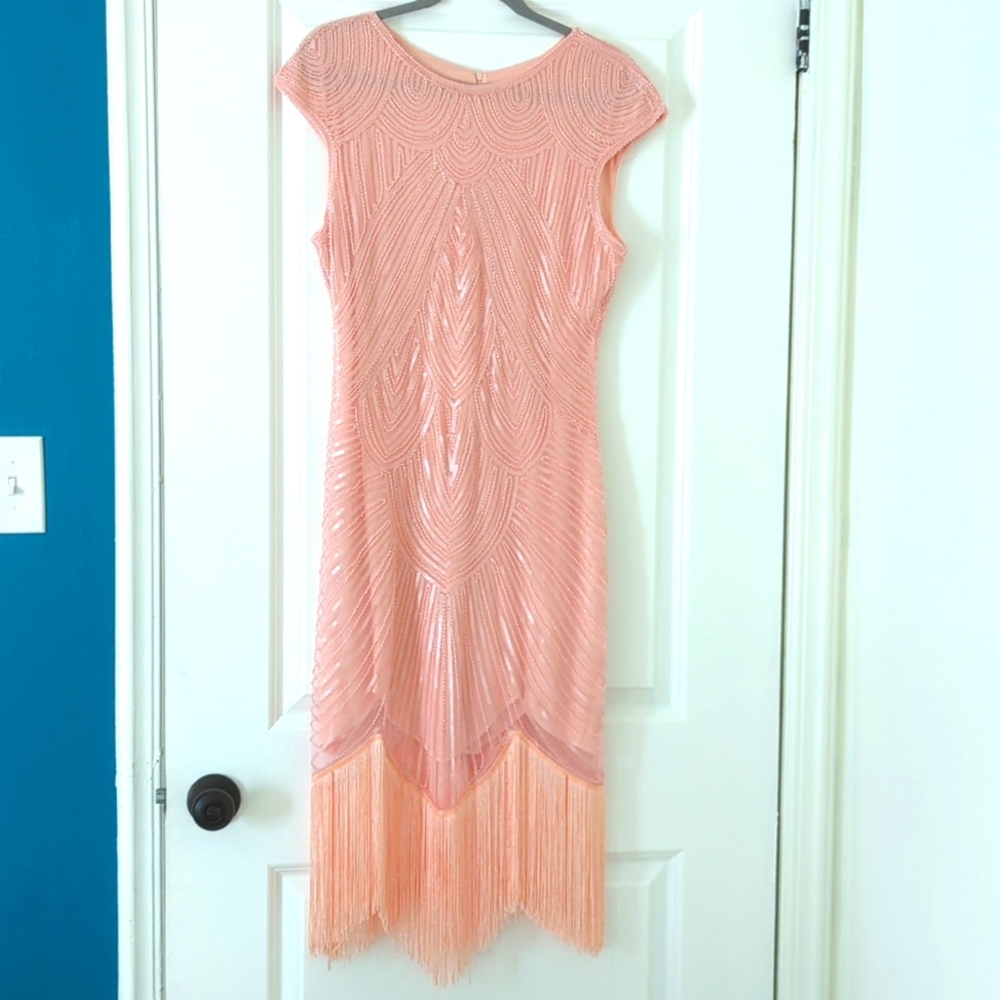 Flapper Dress Like New!